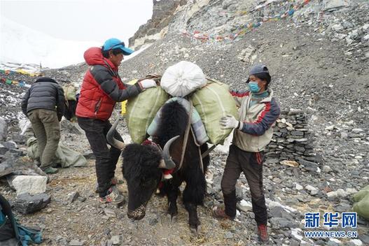（体育）（5）践行环保，西藏登山客在行动（配本社同题文字稿）