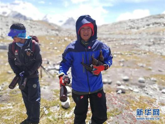 （体育）（3）践行环保，西藏登山客在行动（配本社同题文字稿）