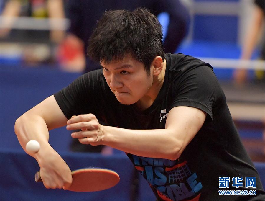 （体育）（5）乒乓球——中国国家乒乓球队在多哈备战