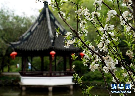 （社会）（1）上海：古典园林春意浓